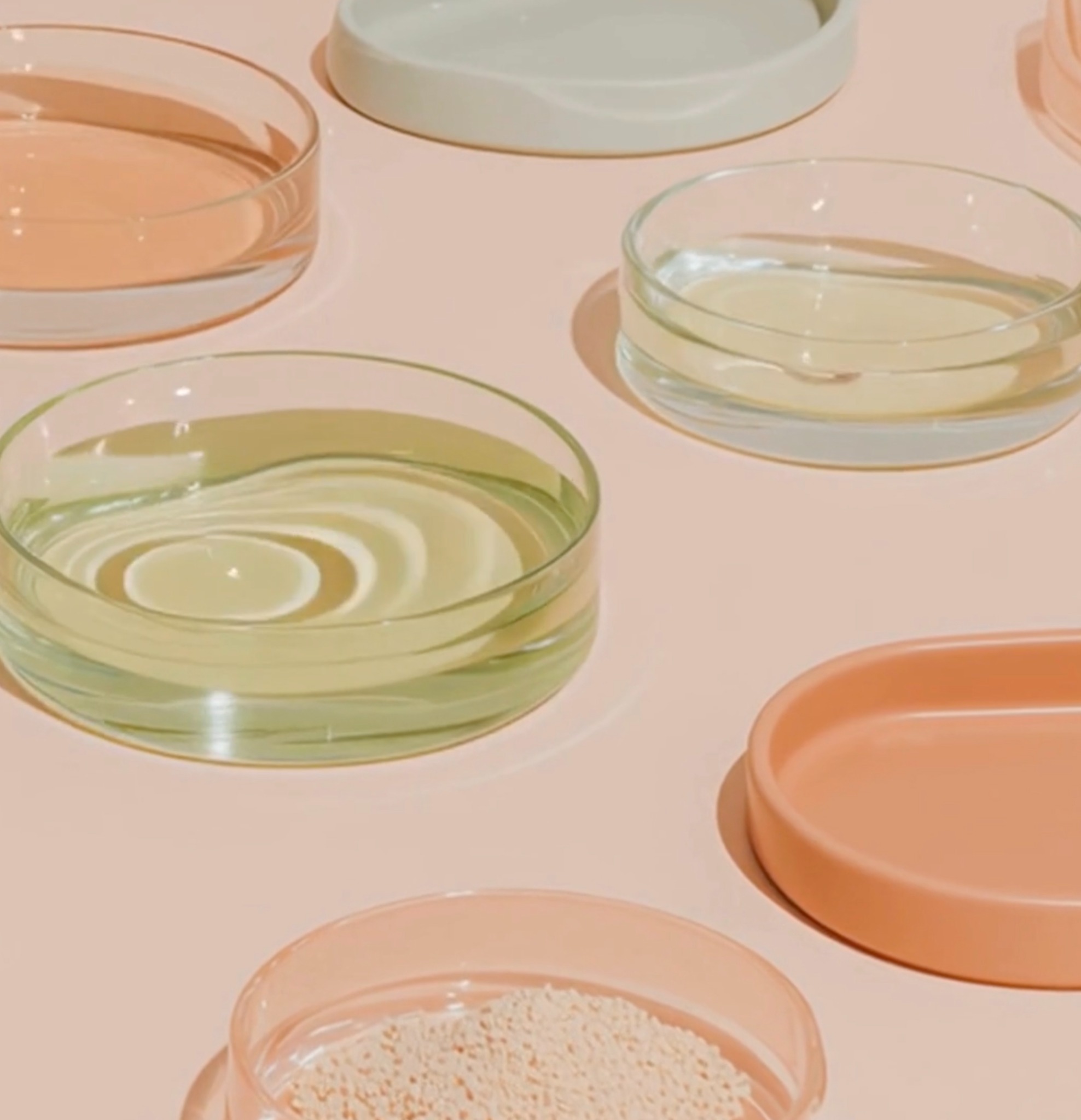 Translucent vessels in soft coral, green and cream on a pale surface